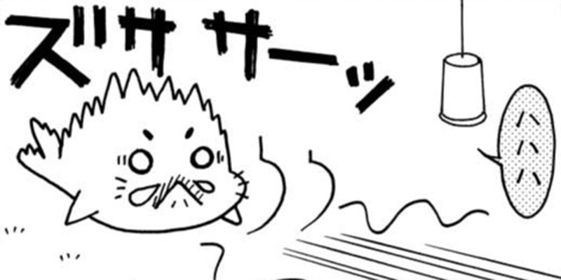 第146回「遥かなる呼び声」