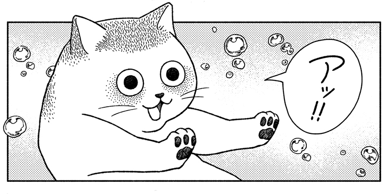 第6回(第16話)