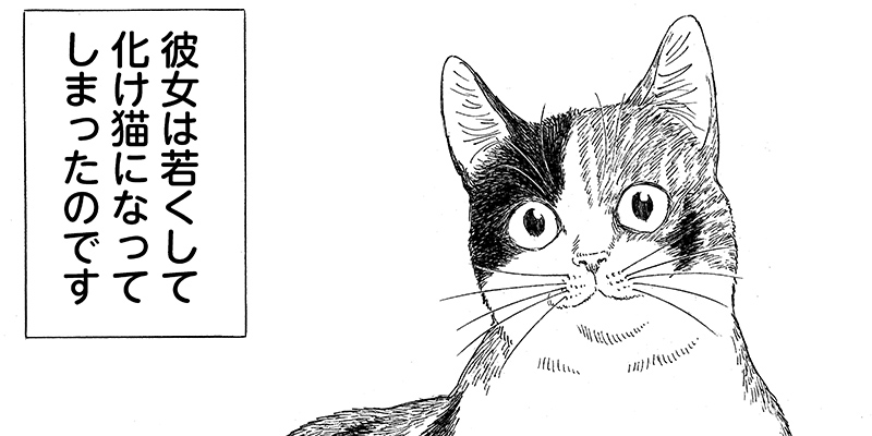 猫欠 猫欠 岡田索雲 Webアクション